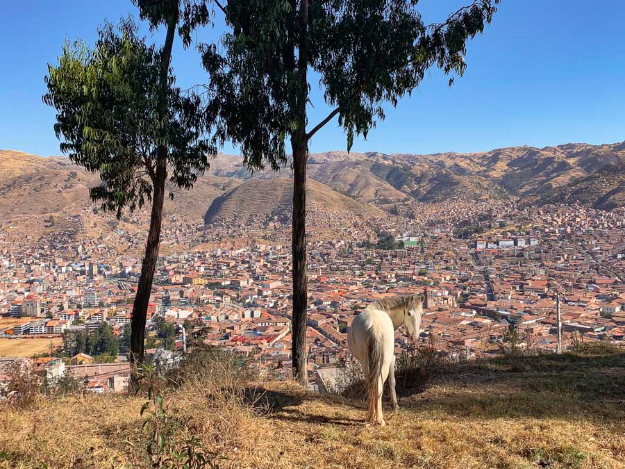 Cusco City view point, horse, cusco and sacred valley itinerary, things to do in cusco, andes mountains, cuzco