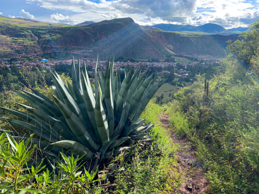 Saywa Mountain, dirt path, grass, aloe plant, mountains, village, trees, sunrays, clouds, sky, Urubamba