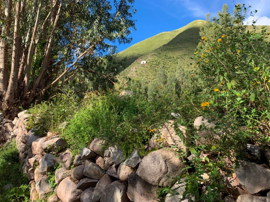Saywa Mountain, mountain, rocks, white hillside church, trees, flowers, sky, cloud, Urubamba