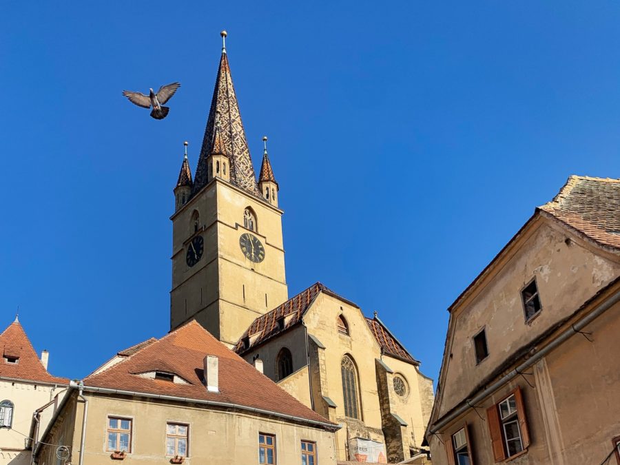 Discover Transylvania, Sibiu, buildings, bell tower, blue sky, day trips from Brasov, windows, roof, clock