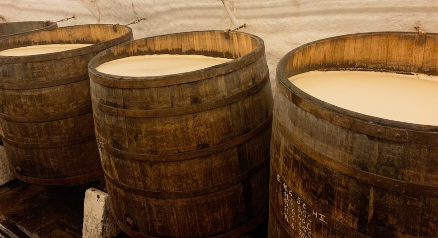 Wood barrels, Pilsner Urquell Brewery Tour, cellar, Pilsen, day trips from Prague