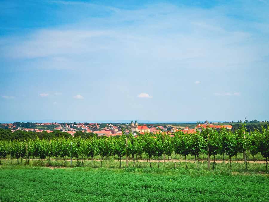 vineyards in the Mikulov Wine Region with villages in the backdrop