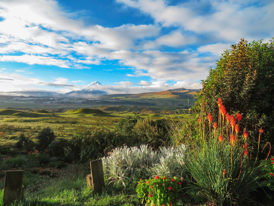 cotopaxi volcano, secret garden cotopaxi, garden, mountains, clouds, grass, sky, places to visit in ecudaor