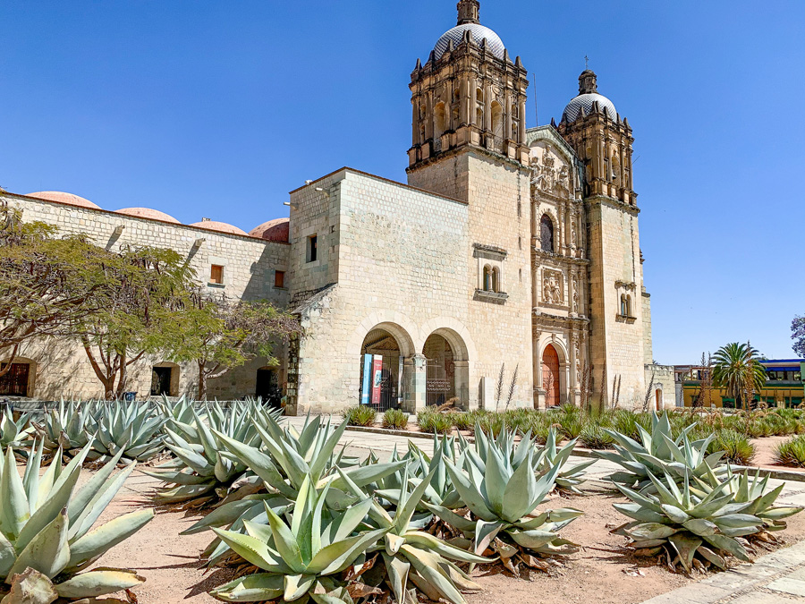 Santo Domino, plants, sky, building, church, Oaxaca Mexico, things to see in Oaxaca
