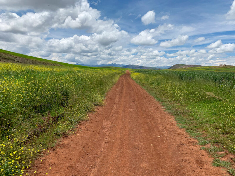 self guided Maras moray tour, maras to moray hike, things to do in the Sacred Valley in Peru, hiking trails in the Sacred Valley in Peru, grass, clouds, dirt path, wildflowers, Peru's Sacred Valley