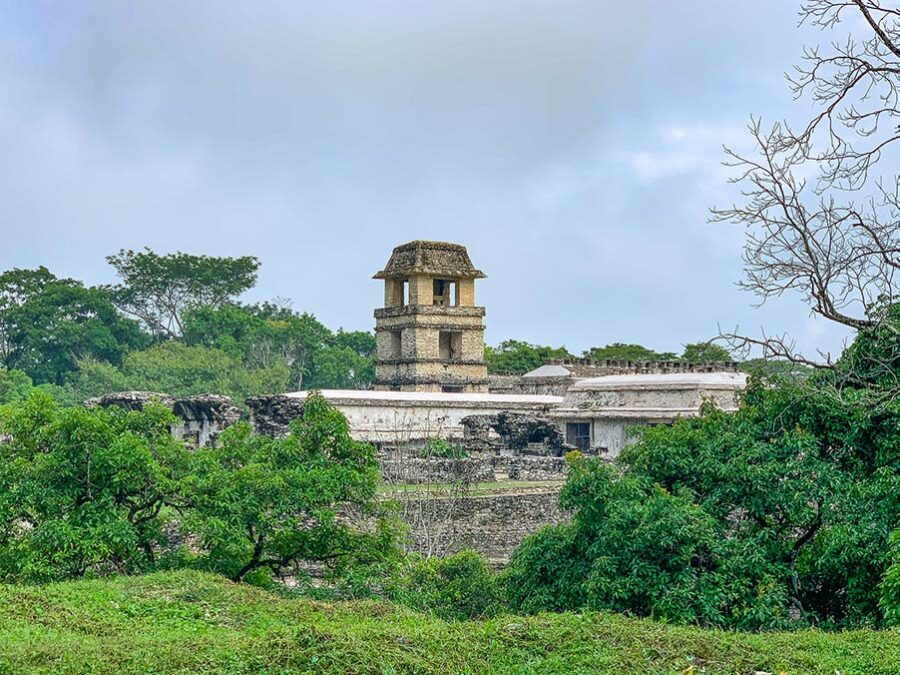 Palenque ruins, things to see in Palenque, Zona Arqueológica Palenque, Maya ruins, Mayan ruins in Chiapas, grass, trees, El Palacio, sky, Chiapas highlights