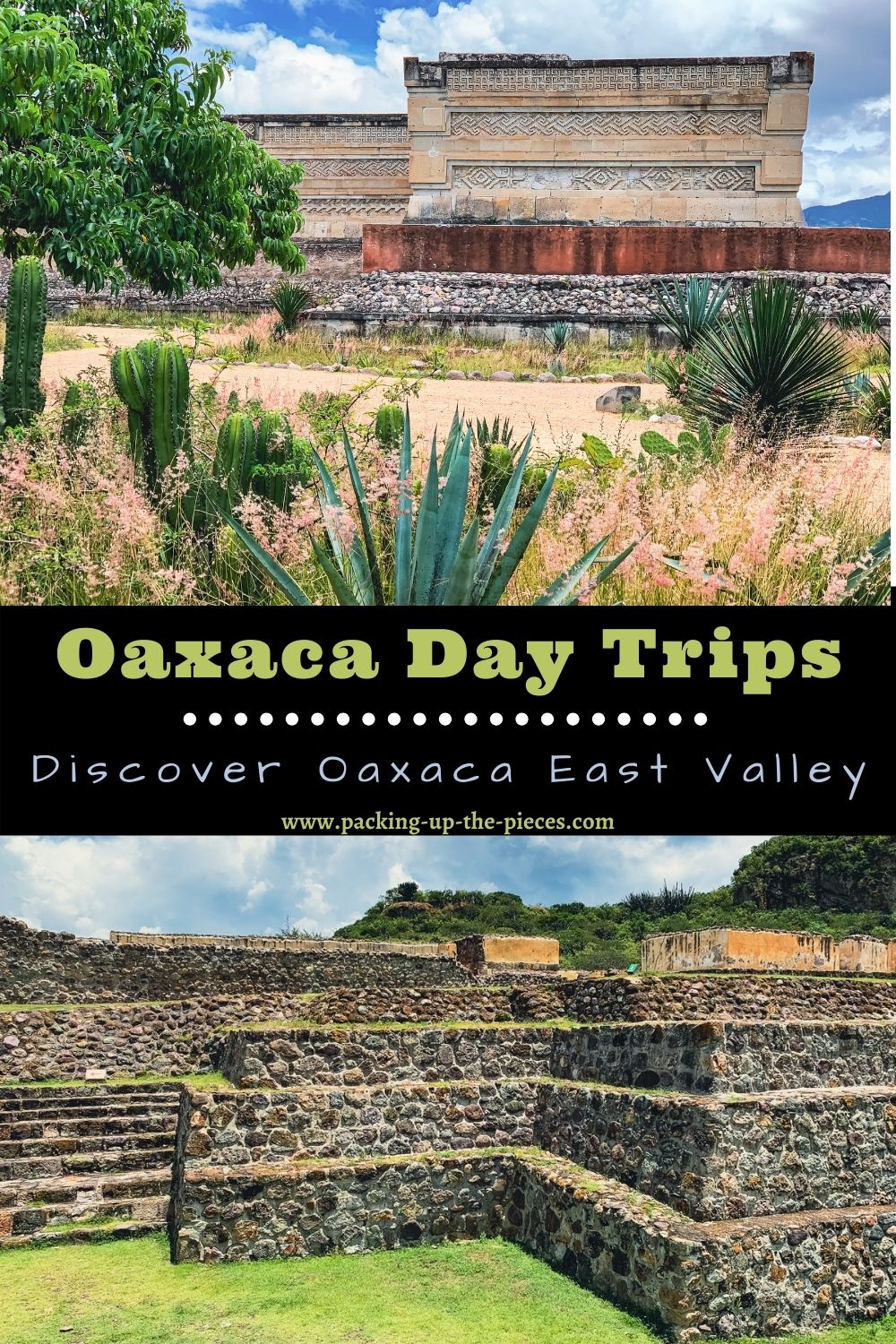 Oaxaca to Mitla pin 4