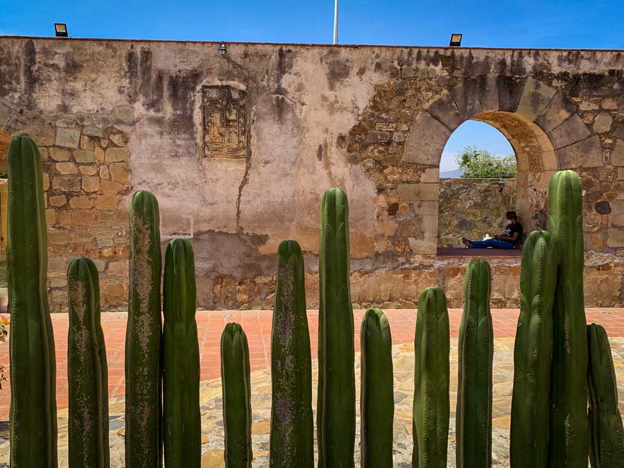 Cuilapam de Guerro village, cactus, boy