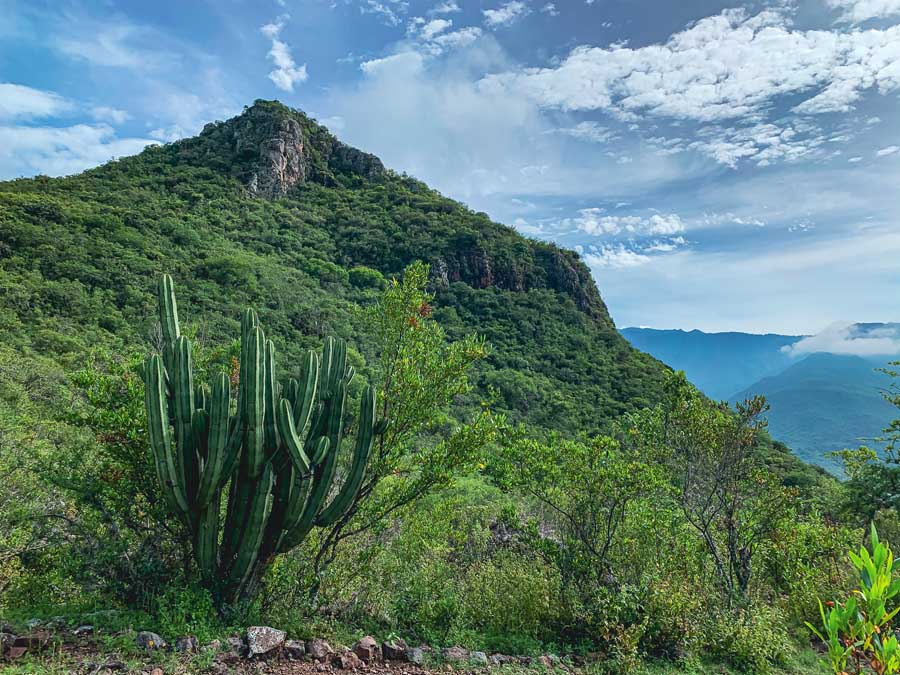 Cerro Picacho, Teotitlan del Valle Oaxaca, hiking in Oaxaca, Oaxaca hikes, cactus, mountain, sky, East Oaxaca Valley, Places to visit in Oaxaca