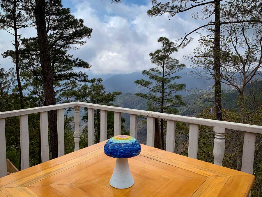 San Jose del Pacifico Oaxaca, mushroom, table, view, places to see in oaxaca state, Cabañas Rancho Viejo