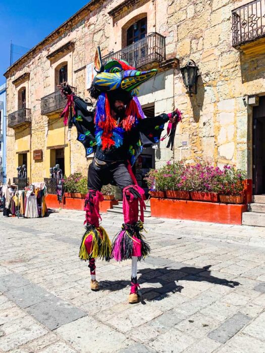 Oaxaca, best places to visit in Oaxaca, flowers, Oaxaca centro