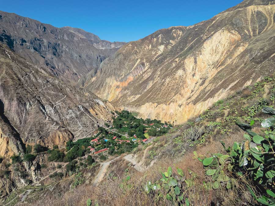 viewpoint of oasis sangalle, worlds second deepest canyon, colca canyon trek, hiking colca canyon, hiking path