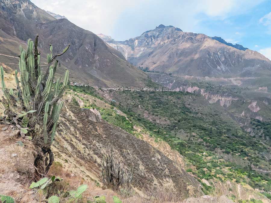 distant views of Cosñinhua and Malata villages colca canyon peru, cactus, andes mountains, colca valley views, sky