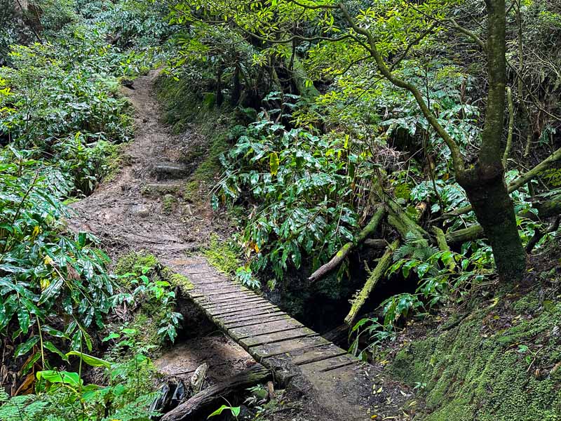 a wood bridge that leads to the Cagarrao waterfall