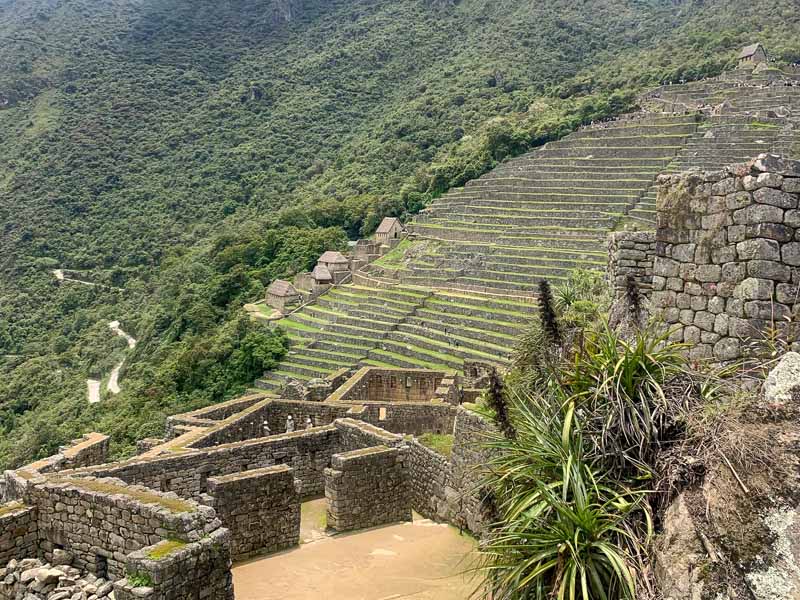 Inca terraces of Machu Picchu