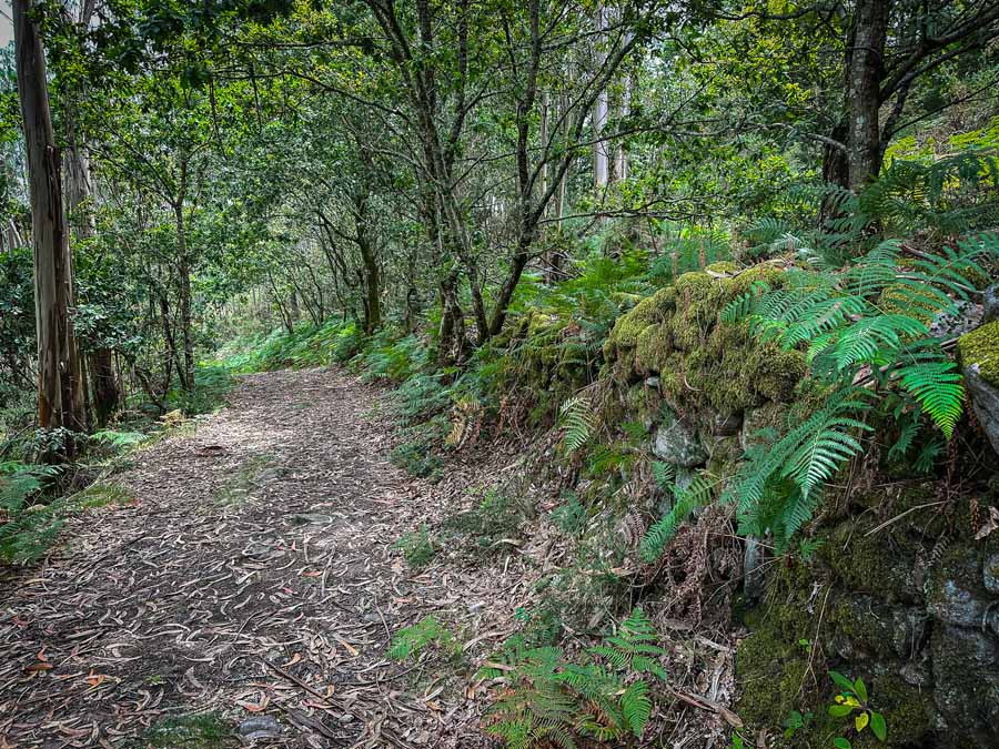 The path up to Castro Lupario